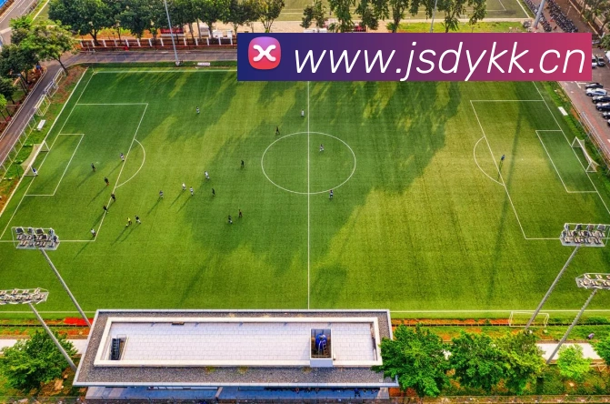 App Interface Preview